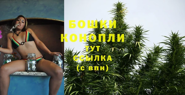 шишки Навашино