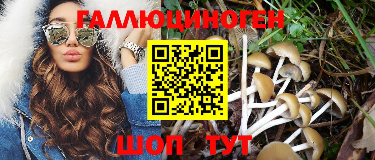 Псилоцибиновые грибы мицелий Людиново