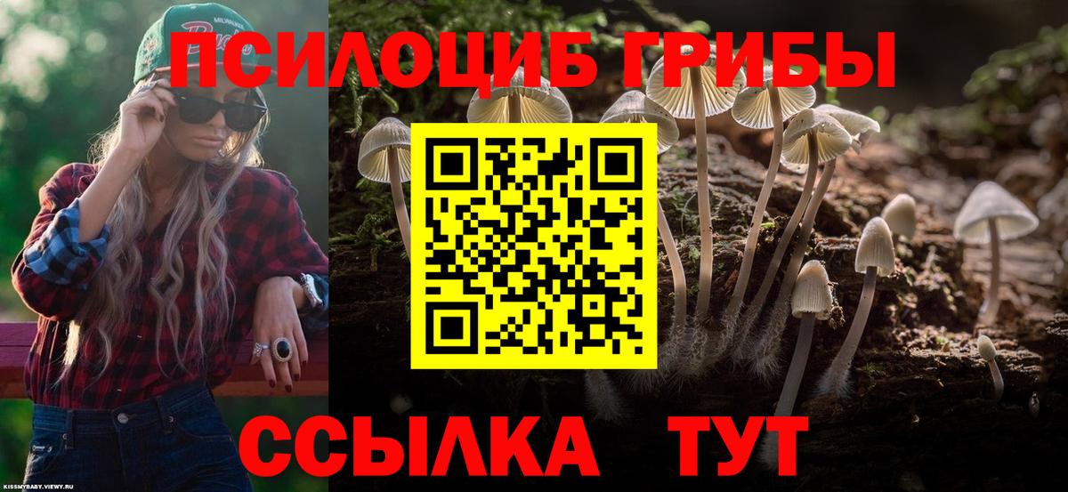 Галлюциногенные грибы GOLDEN TEACHER  Вход с VPN  Людиново 
