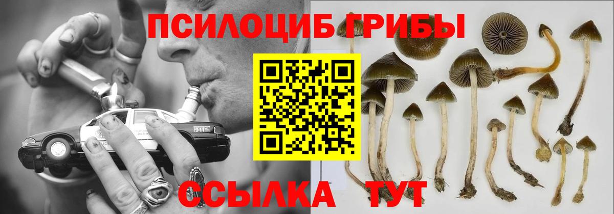 Псилоцибиновые грибы MAGIC MUSHROOMS  Людиново 
