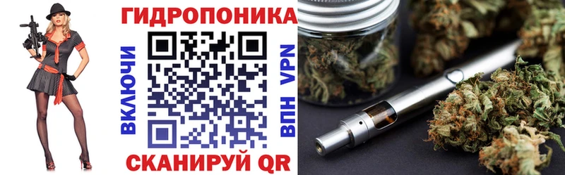 Каннабис индика  Людиново 